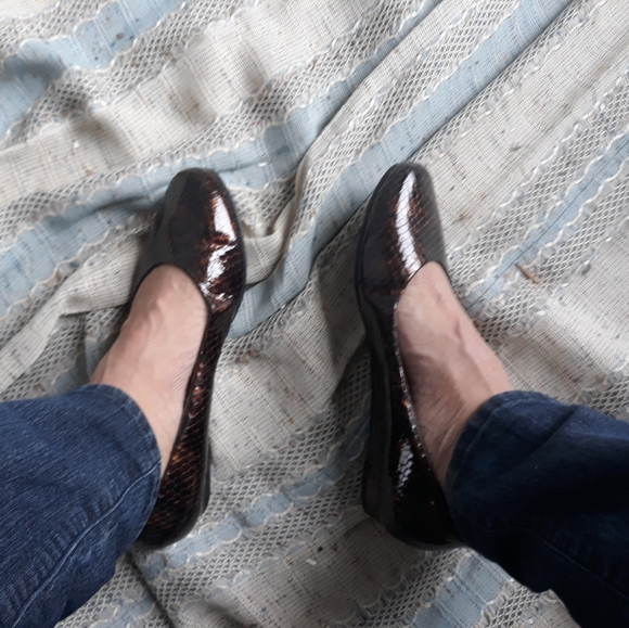 Brown and black snake print Fitzwell flats - Picture 2 of 9